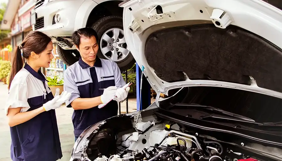 10 Proven Strategies to Protect Cars from Rats and Rodents